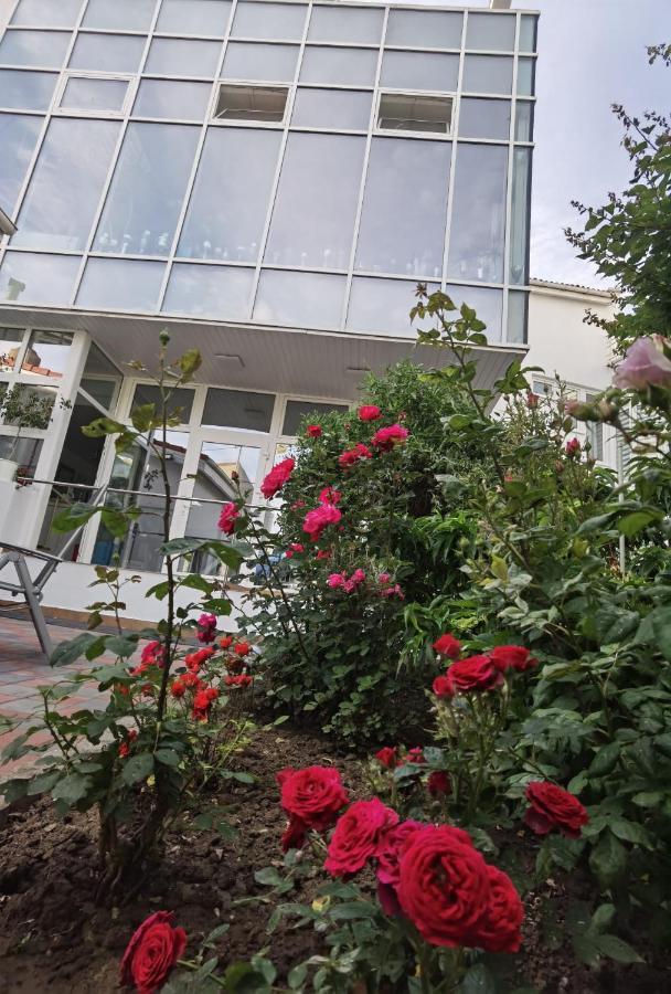 Готель Fitness House With Garden Констанца Екстер'єр фото